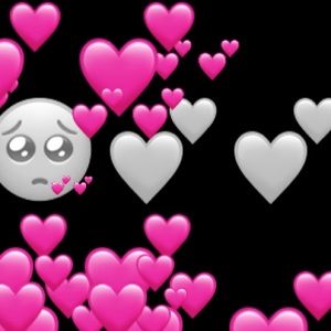 Meet your Posher, Isabel sofia